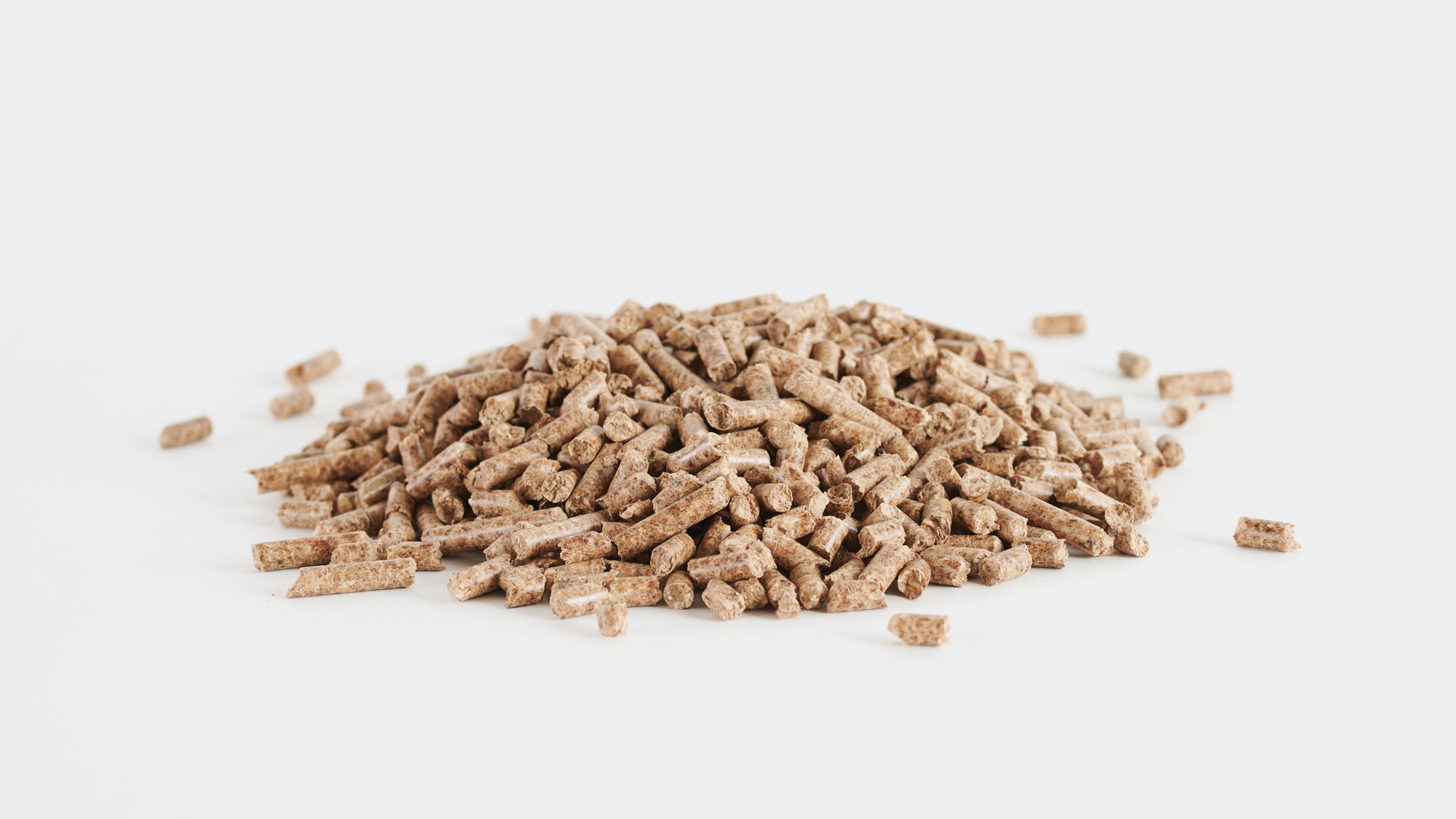 Oak pellets - Rovere Puro - Image 2